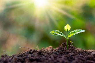 Paulo Augusto Berchielli