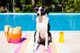 Daniel Tarciso da Silva Cardoso