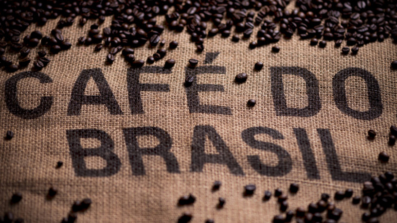 Veja com Aldo Vendramin por que o café é mais que uma bebida: é patrimônio e força econômica.