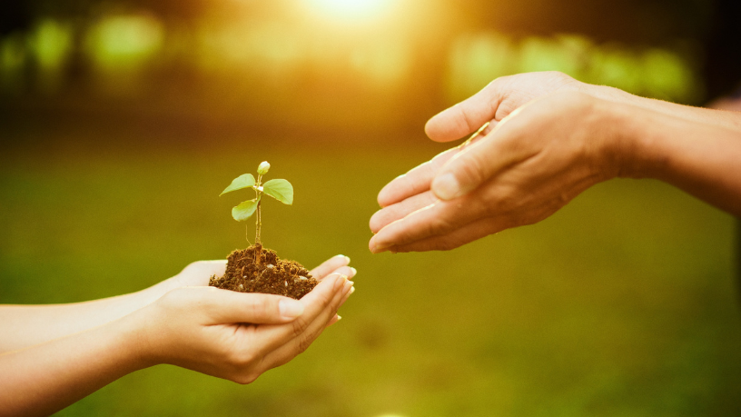 Para Alfredo Moreira Filho, a verdadeira liderança sustentável nasce quando propósito, responsabilidade e coerência diária caminham juntos.